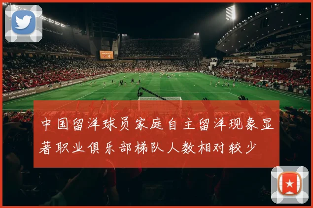 中国留洋球员家庭自主留洋现象显著职业俱乐部梯队人数相对较少